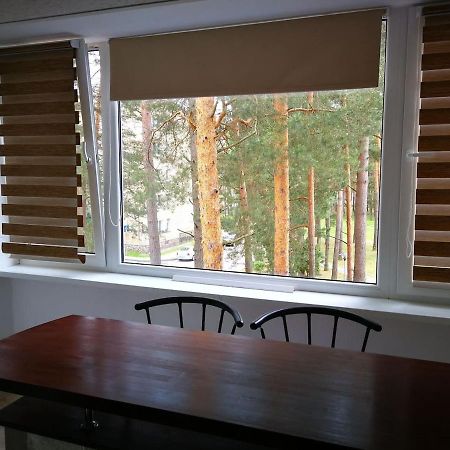 Light One Room Apartment ヴィサギナス エクステリア 写真