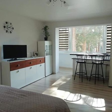 Light One Room Apartment ヴィサギナス エクステリア 写真