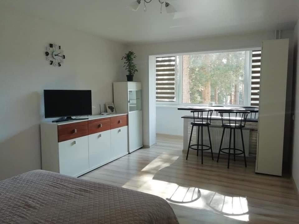 Light One Room Apartment ヴィサギナス エクステリア 写真