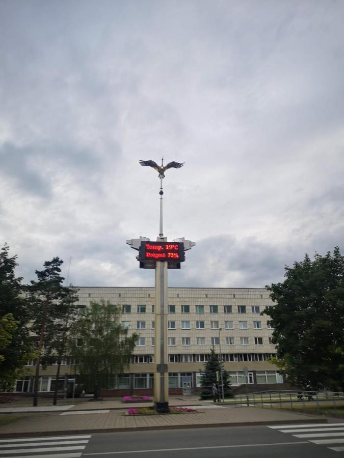 Light One Room Apartment ヴィサギナス エクステリア 写真