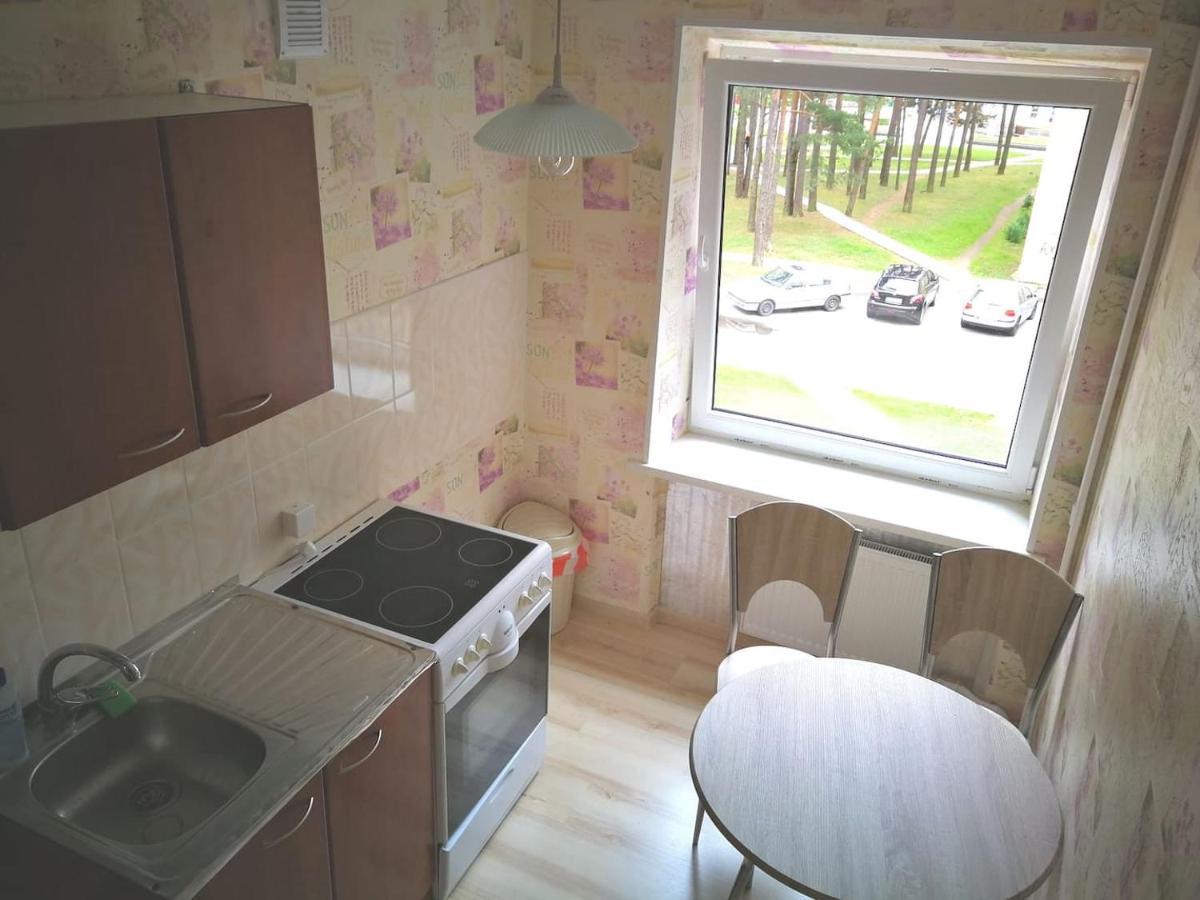 Light One Room Apartment ヴィサギナス エクステリア 写真