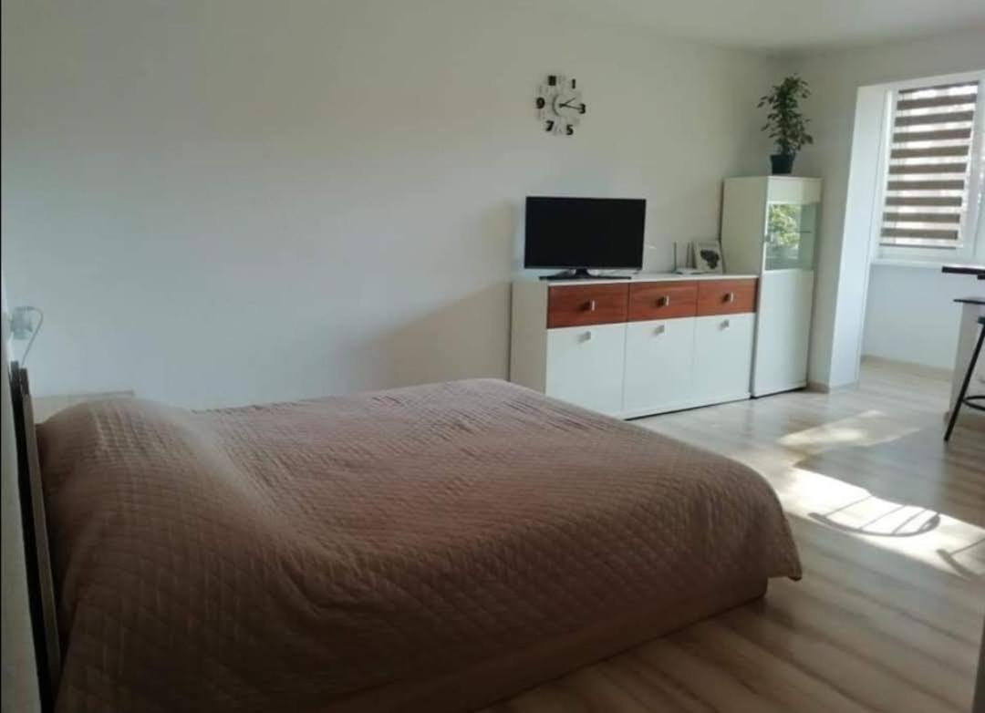 Light One Room Apartment ヴィサギナス エクステリア 写真
