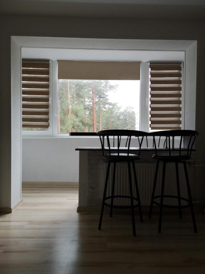 Light One Room Apartment ヴィサギナス エクステリア 写真
